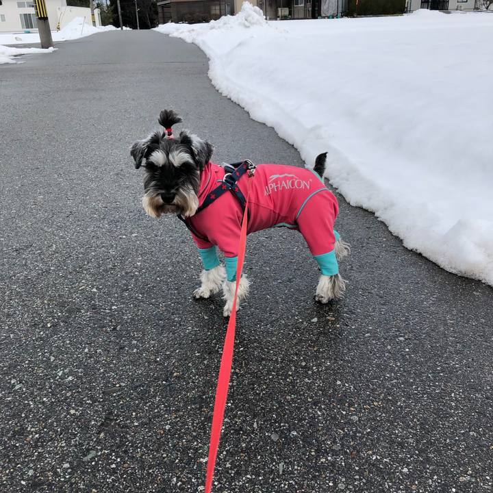 729421c0 d5c5 49c6 bb98 88a31b6efe45 1612072142900