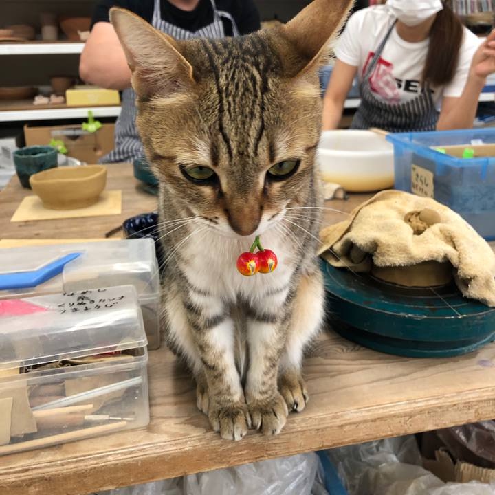 72945c39 0de0 4f8f 9c7b 1b552d3e4b4a 1651563853789