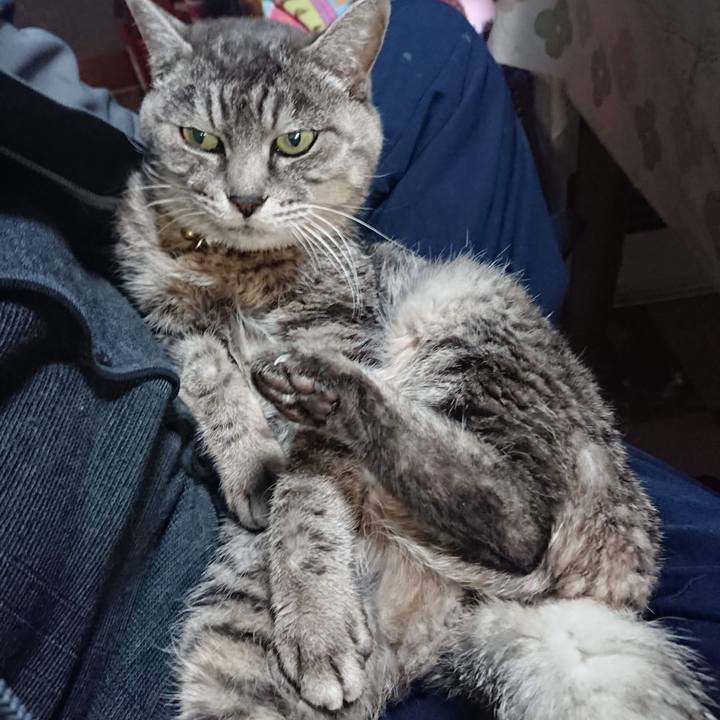 72948426 c984 4daa abc2 67dcccdb9eb8 1606598610319