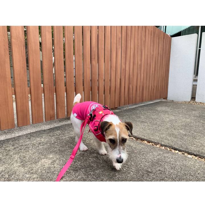 72949422 2f5f 4b4c a0c8 27c5092f99e6 1582805073658