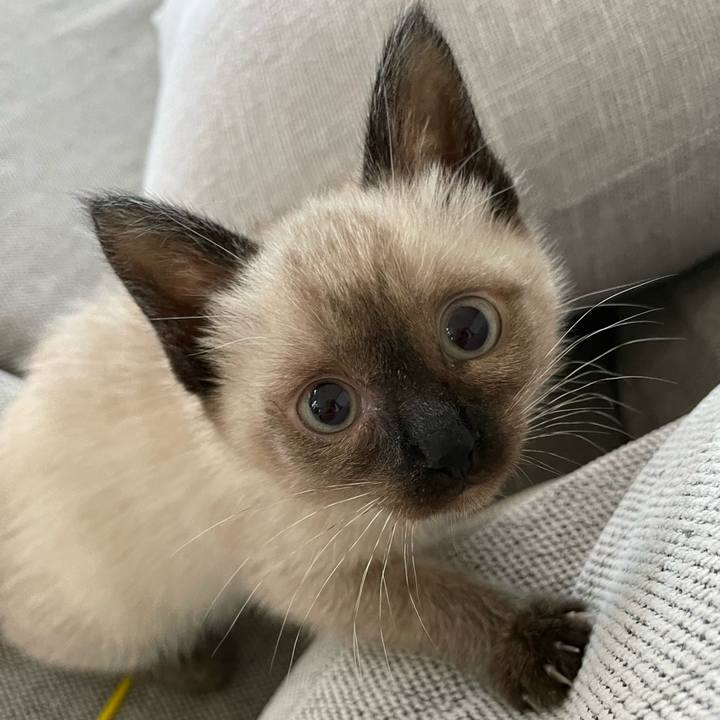 72949a1a f571 466a 8f05 6e1767dd8194 1687642281994