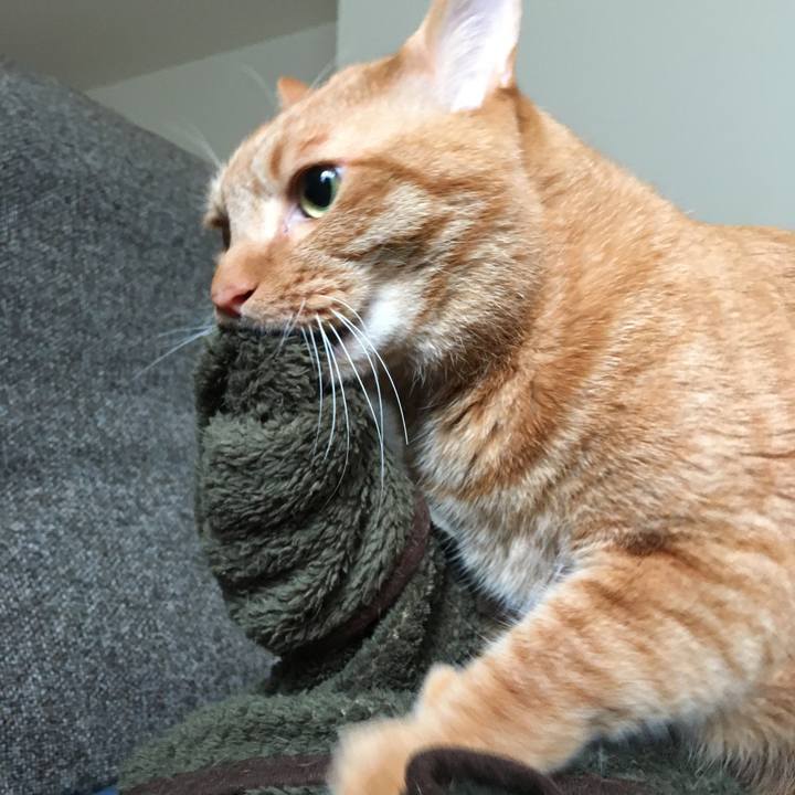 7294ade1 ed12 49eb a215 f05fdb8bf65f 1580792137631