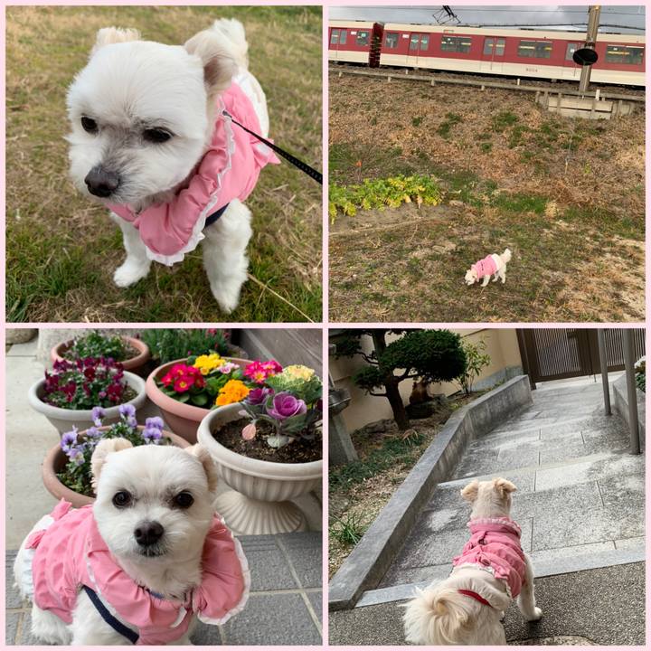 7294b72e ae06 4875 b1e0 794b60f5bbcc 1609314947104