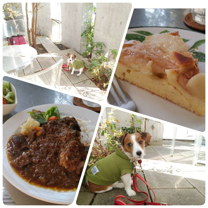 7294e689 a7d2 497e a049 112f2911223e 1541670262767