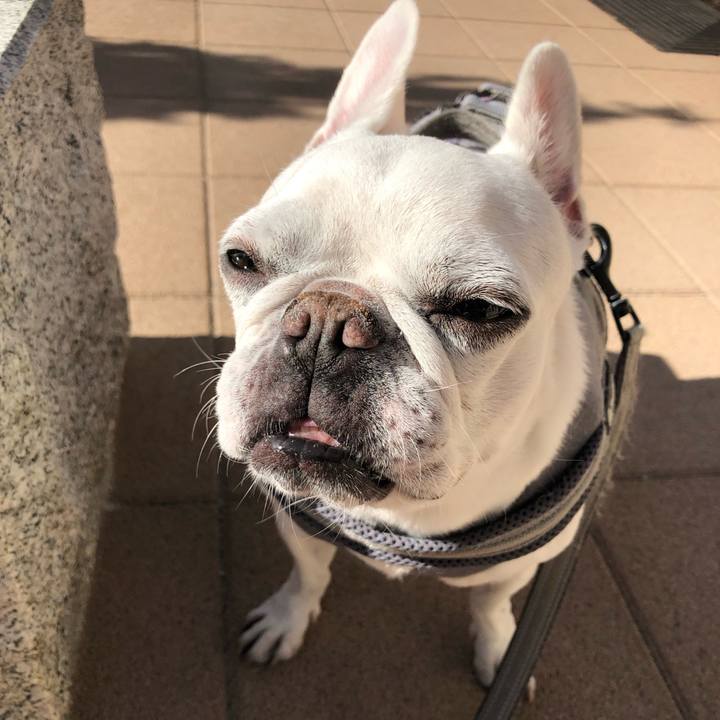 7294ebbd b3ee 47ac 8309 df2c7a1fa694 1670667873721