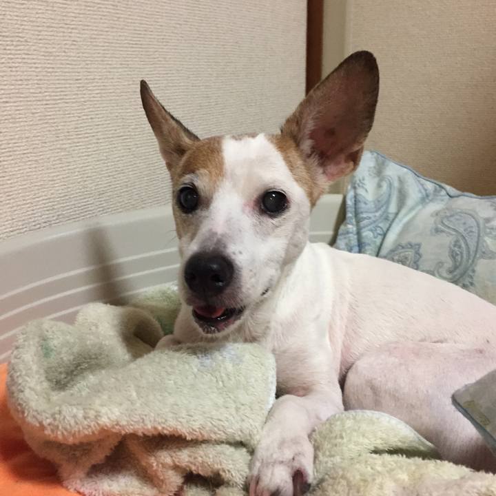 7294eed1 6f5a 4faa b31d 4c42a936a216 1538293637174