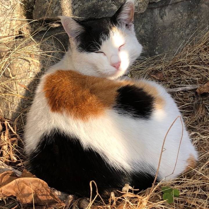 72950924 d3b0 4569 aba6 132cf461f23f 1615204587267