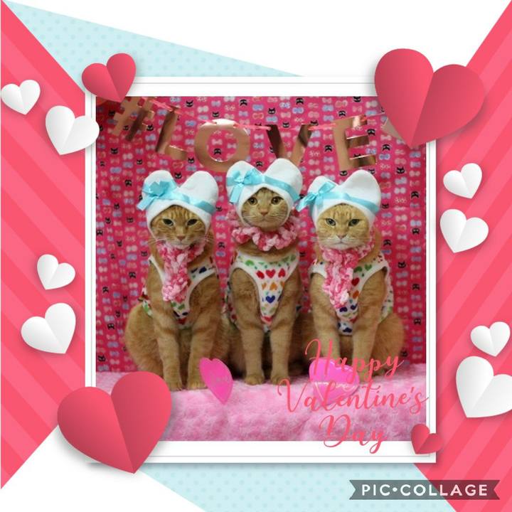 7295217d 1ad8 4939 9ffd 7d9784772eef 1581648311546