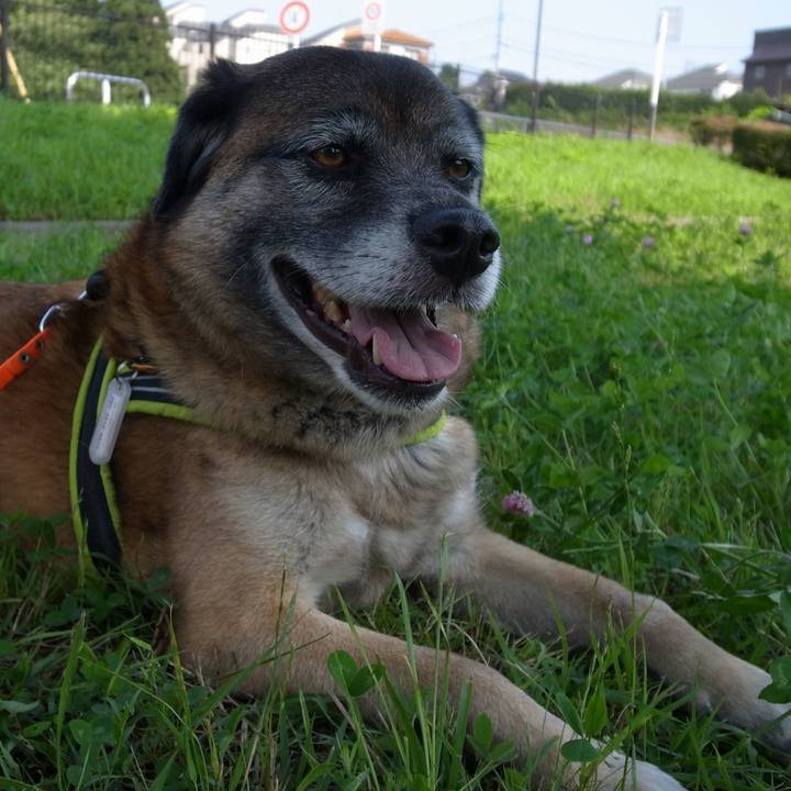 729550ef 529d 4bf6 9ab9 70604967cb54 1582425598399