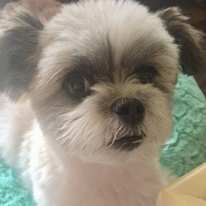 72958064 fa66 4875 bee1 db5b42f58347 1536890047298