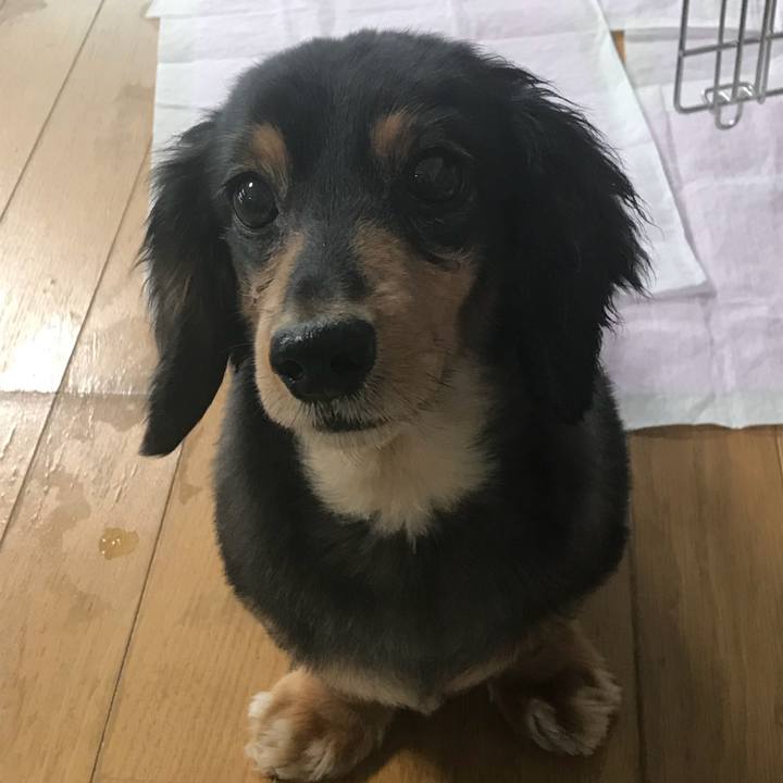 72958d6c f5d7 4ca3 8877 615acc1d1099 1525988870210