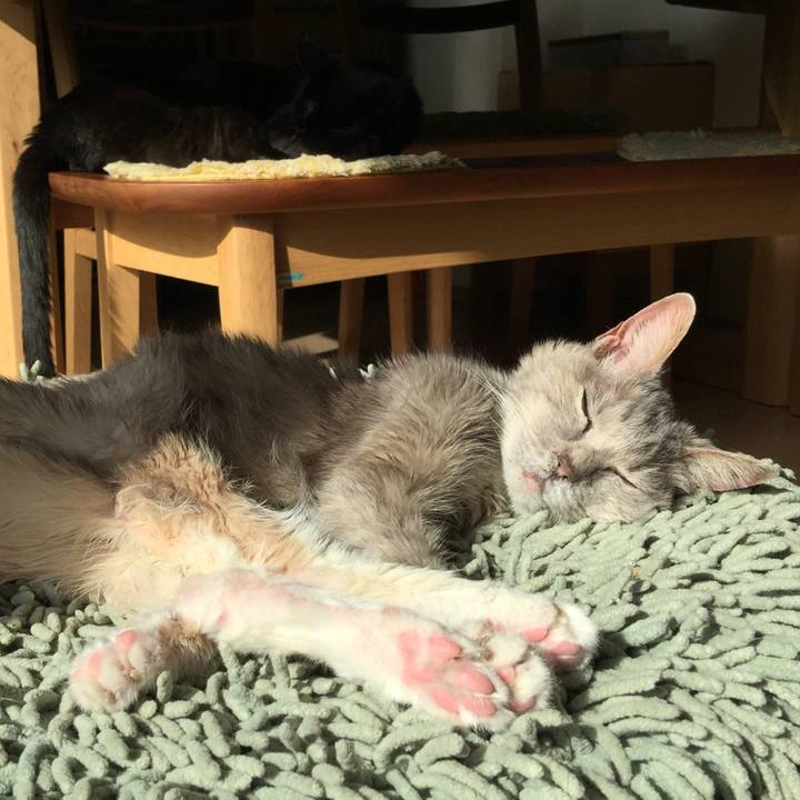 72959355 1d2a 4d93 828f b1d910fc79bd 1522478238071