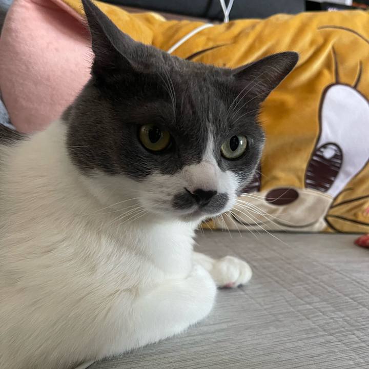 7295b113 6a3d 4d9b 8990 a8ec7cefe89d 1753255214329