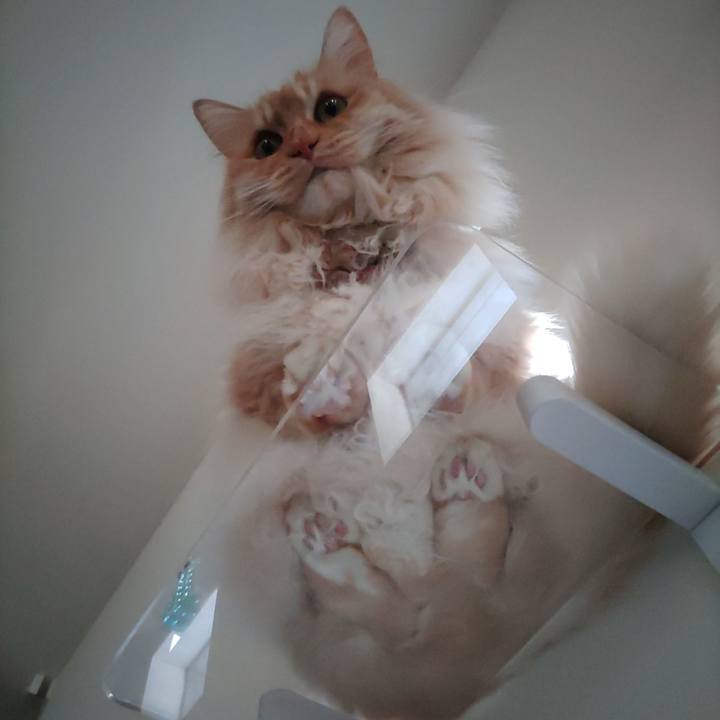 7295ba96 4e5f 44b6 91b5 af8fccfcec0a 1711870248007