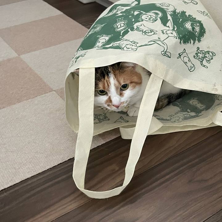 7295da15 3a43 4826 8ce1 50bc75d8185e 1644193998546