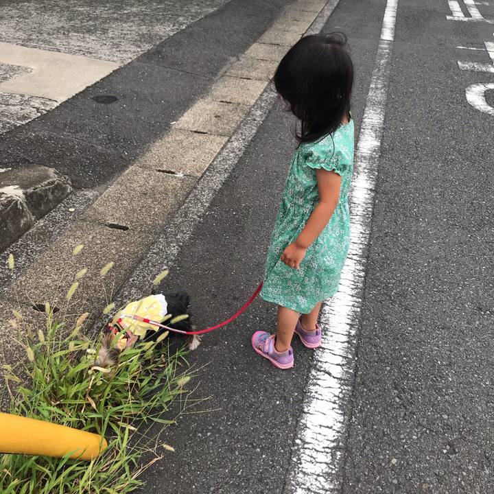 7295fbdc 313a 47c6 96f7 a8635e91dda1 1660961819942