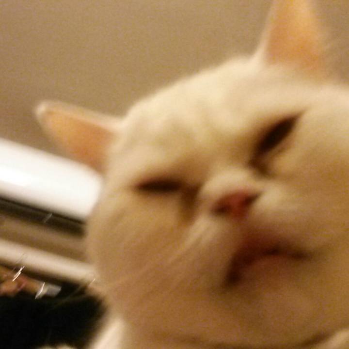 7296218e a610 421b 92c6 6afe1567db51 1536273565152