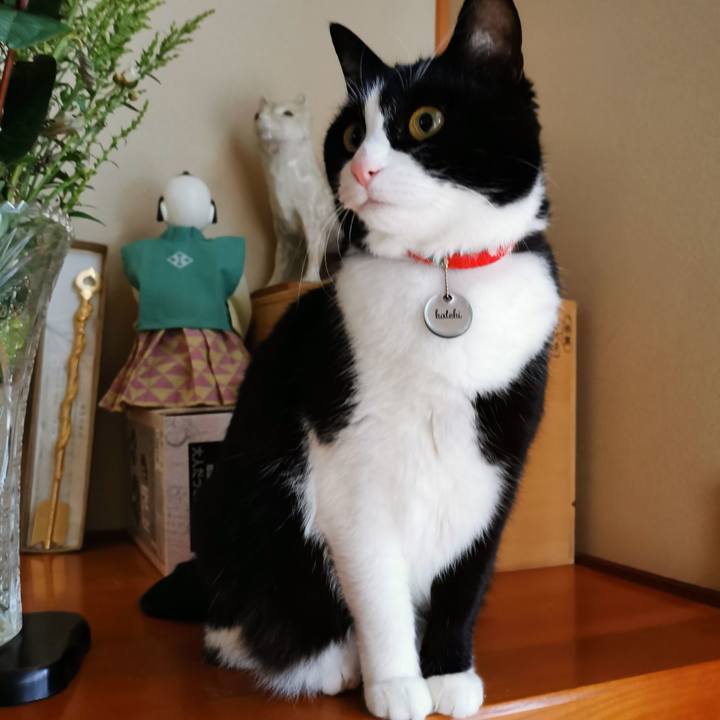 72963390 d5c4 476c abbd 06f03d5376df 1643169273335