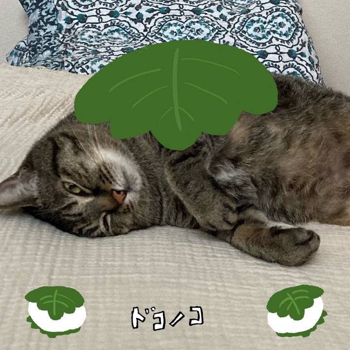 729669e1 26f7 4517 a7bf 22be618f46ae 1749104111061