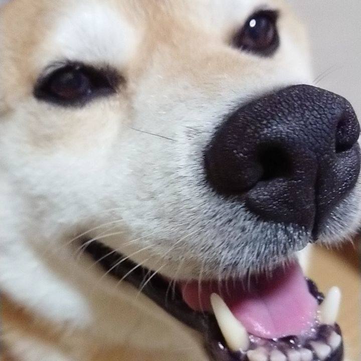729681df 35ed 45fb 9050 55c720700274 1539786271626
