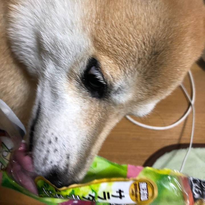 72968b4d d7e2 4452 8473 f4e95412e165 1574340236108