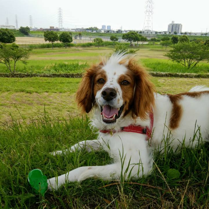 729690da b57d 4baa bf03 4868d8f37c3e 1560847746883