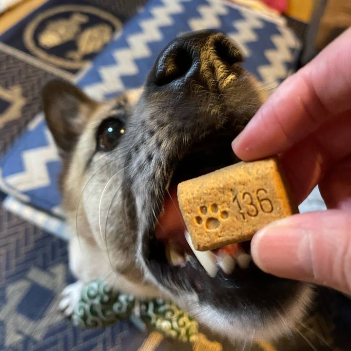 72969f3d a595 42cd ad91 ffe069eb59f3 1665227329601