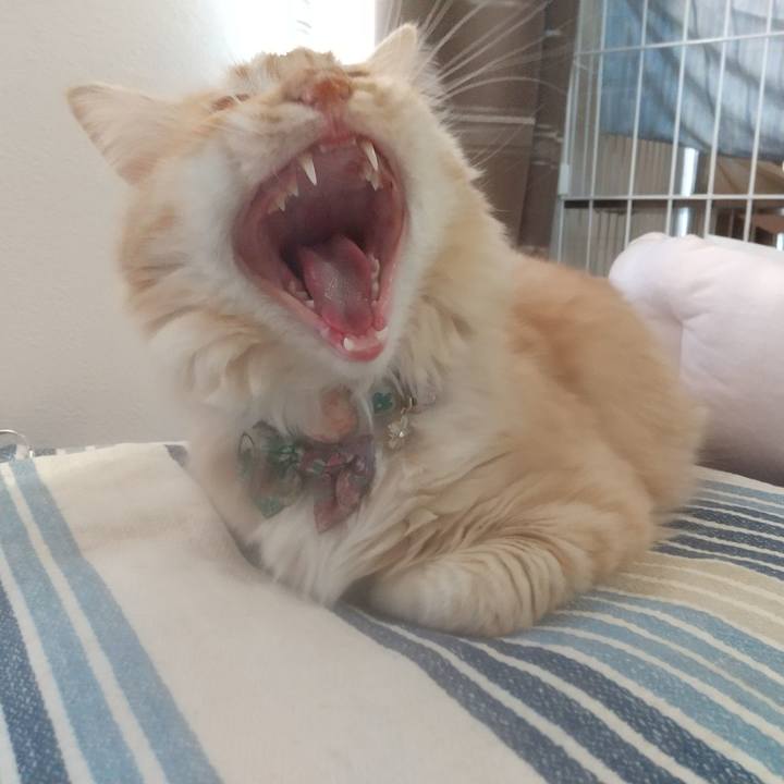 7296f0ae 47b6 4453 8b56 2628fc00825f 1642752341628