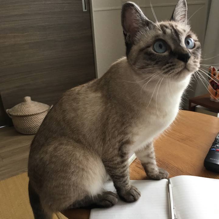 7296f2f2 1c72 4c06 9ff3 d7829e5c9ad6 1563496313094