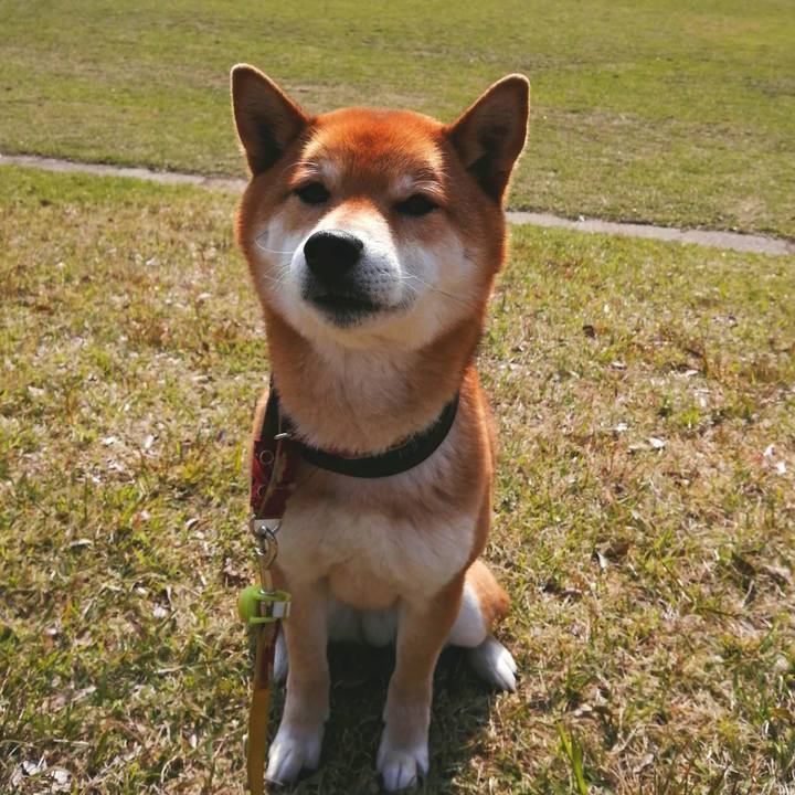 729738a0 e591 49ad a732 28323e2b72fa 1587081723545