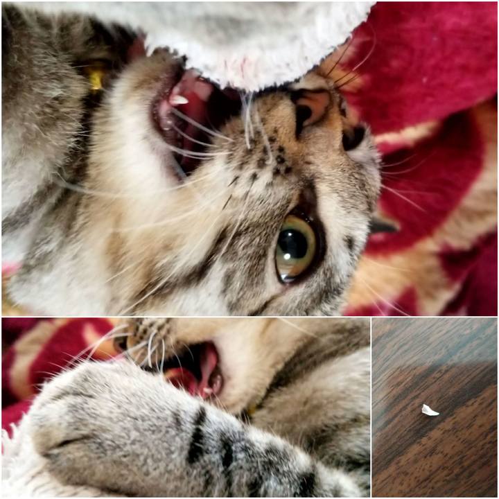 7297b812 7022 4a70 9f4c f0903acf73f4 1670985051861