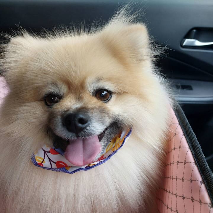 7297c292 a712 4f27 ba1f 344f63ad2839 1758774379911