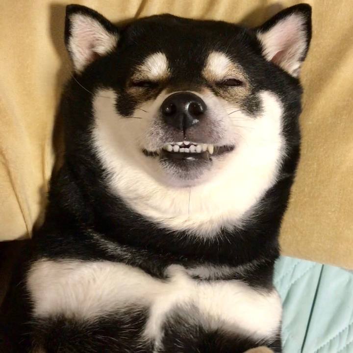 7297d020 c45a 478f 965f e9575c921541 1554911912808