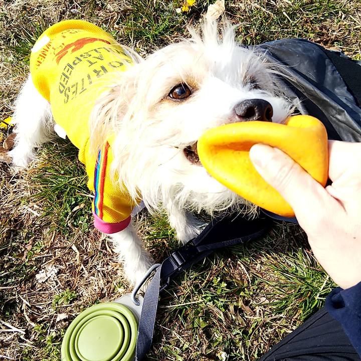 729813a1 c9de 45b4 a61f fff6f34ca583 1551533698213