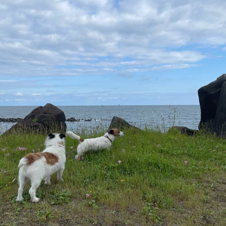 72981ed6 6ac6 4101 8f34 3bbbdd65df3e 1716595985676