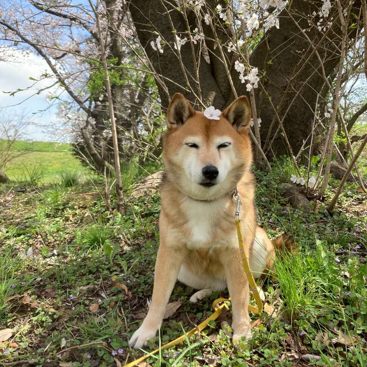 7298264f 632d 4c86 8339 ec162ebba13f 1648616056019