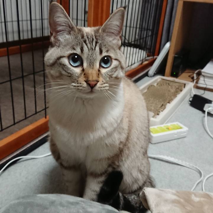 72983827 0b6c 4f51 922e ff8c8a9935f6 1518805222963