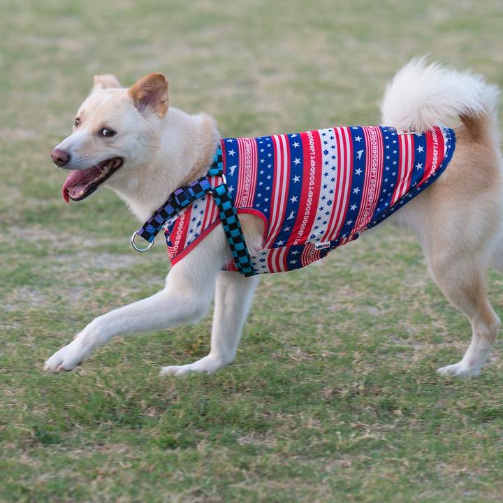 72988e23 0504 4236 9eba 684442b48510 1533552730064