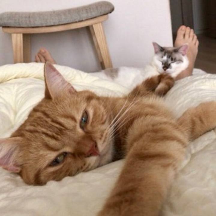 729897b8 1b5c 4612 bfe7 a15f70711961 1539037853495