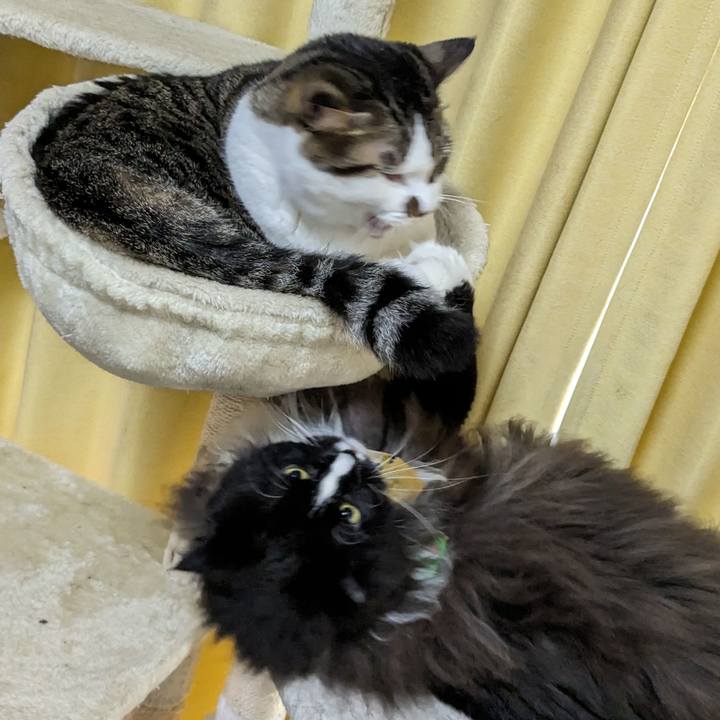 7298a37c 7704 4c5c b631 bab8ca7648a6 1696302507491