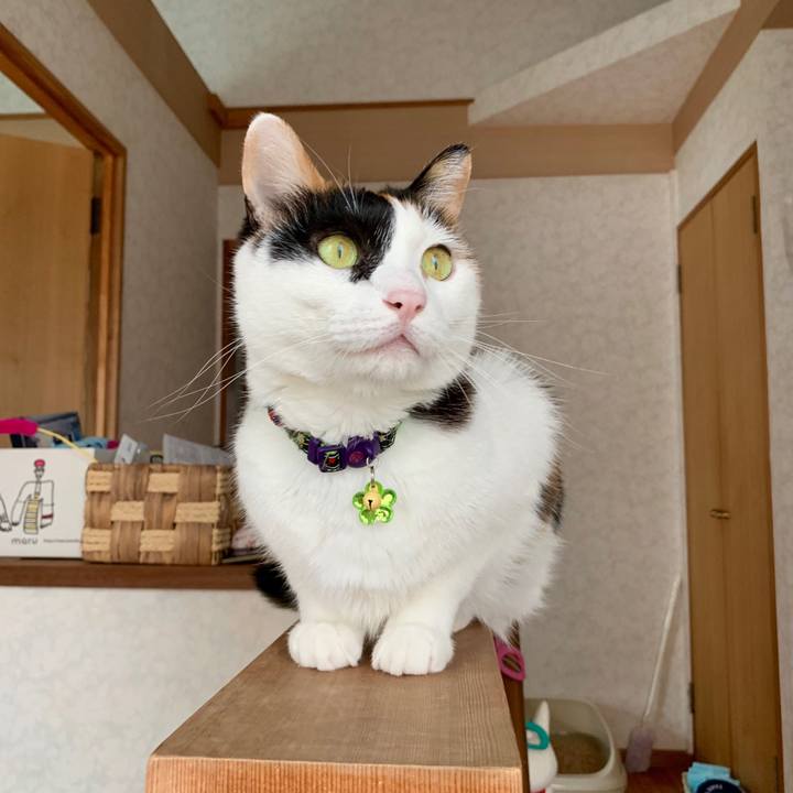 7298b423 be01 4bbb b736 3eabd0eb34f0 1566800446217