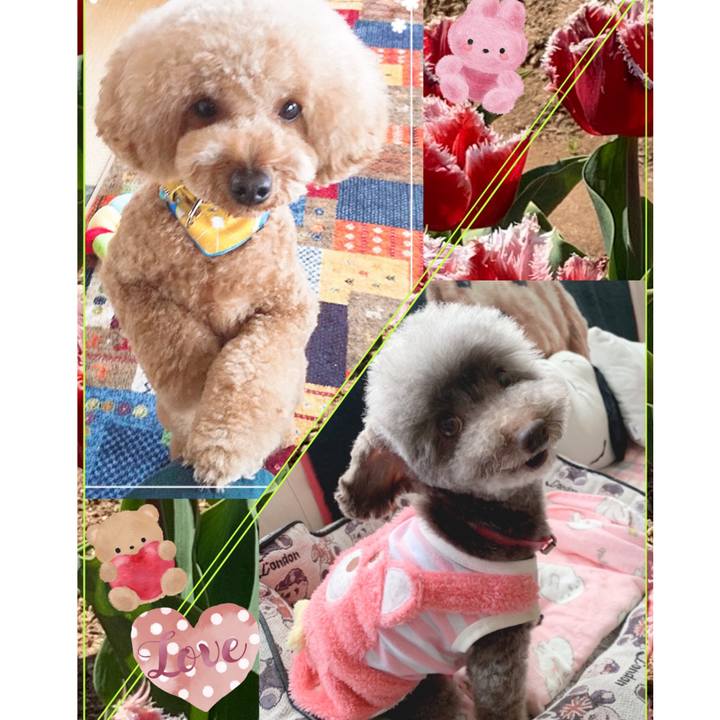 7298d088 88f9 4c75 80ae bf52da1c164a 1648444630005