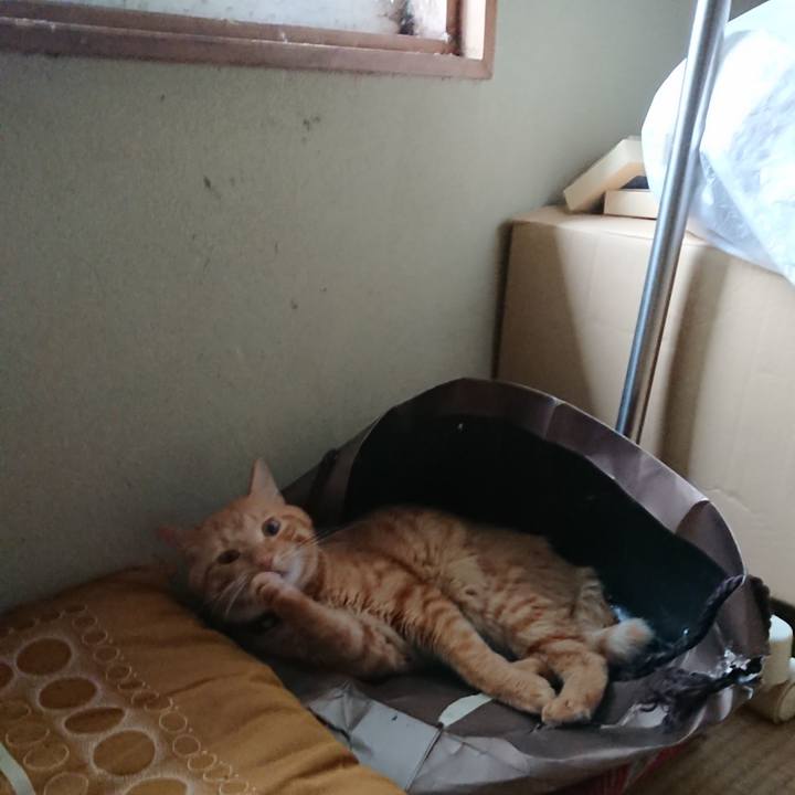 72994b8d 92d1 409e baaf 6d5f2d0d44c8 1661839767563