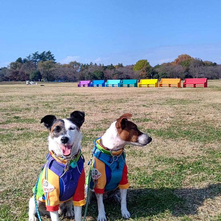 72996048 80dc 43ca a674 55a5112010d6 1637405724438