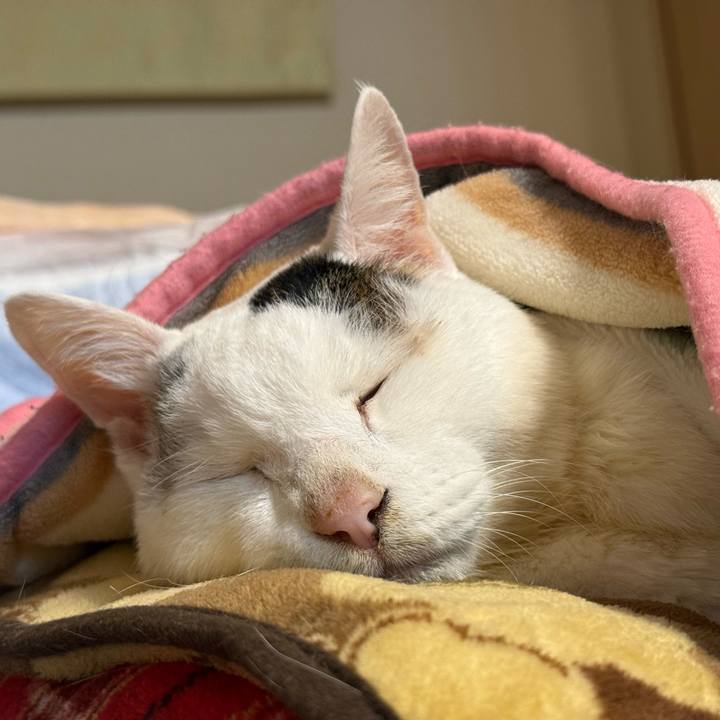 72996728 b2e5 4e57 880d 02610a97644a 1769087155806