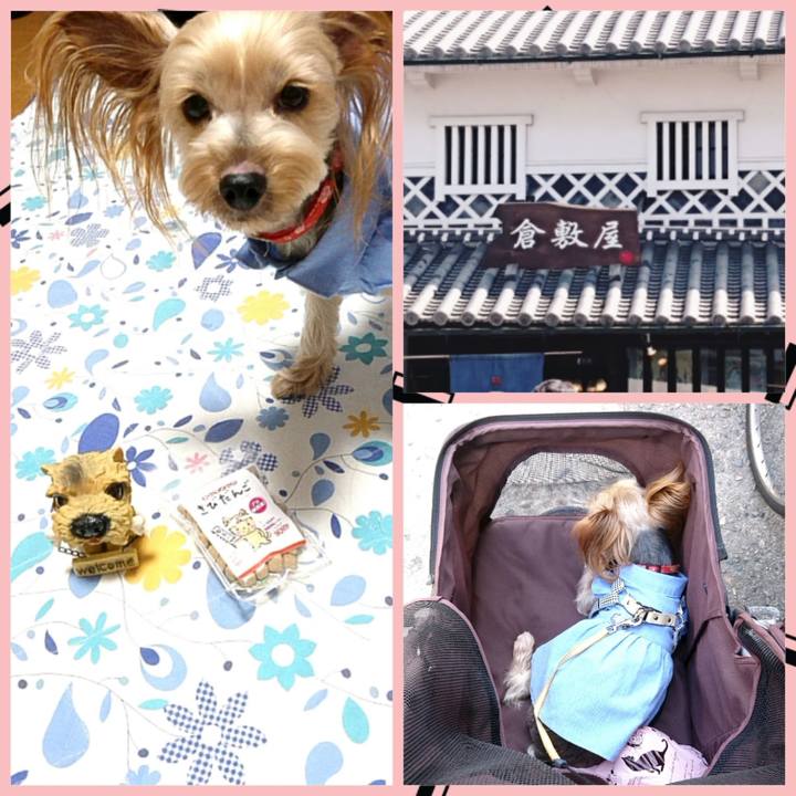 72997ac1 e6b6 40f4 9a41 31f3ff96f084 1556894149999