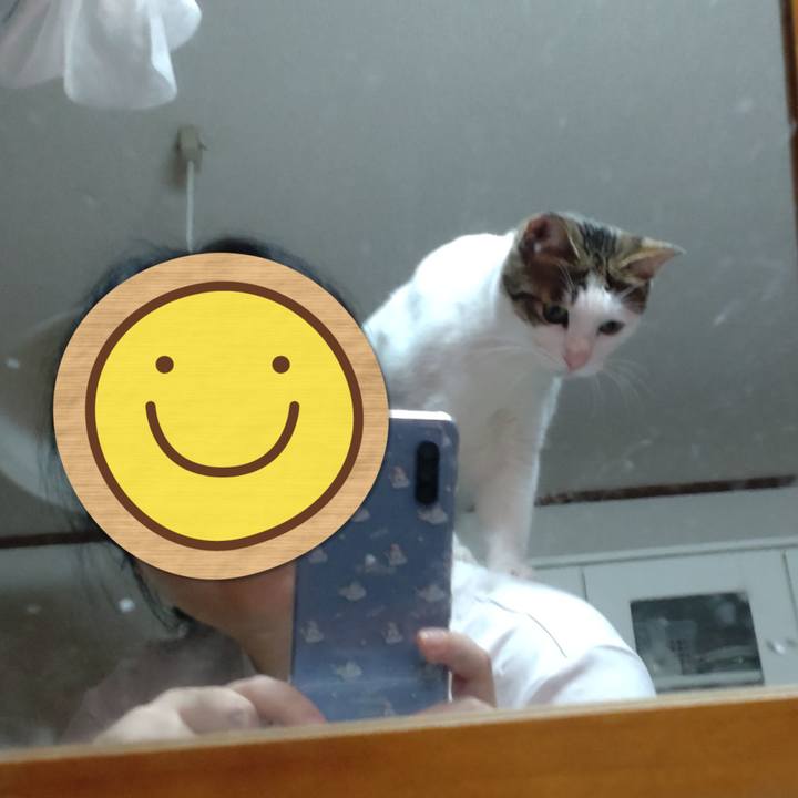 72998427 12f2 46f7 a4f6 e455f77f171c 1695025896311