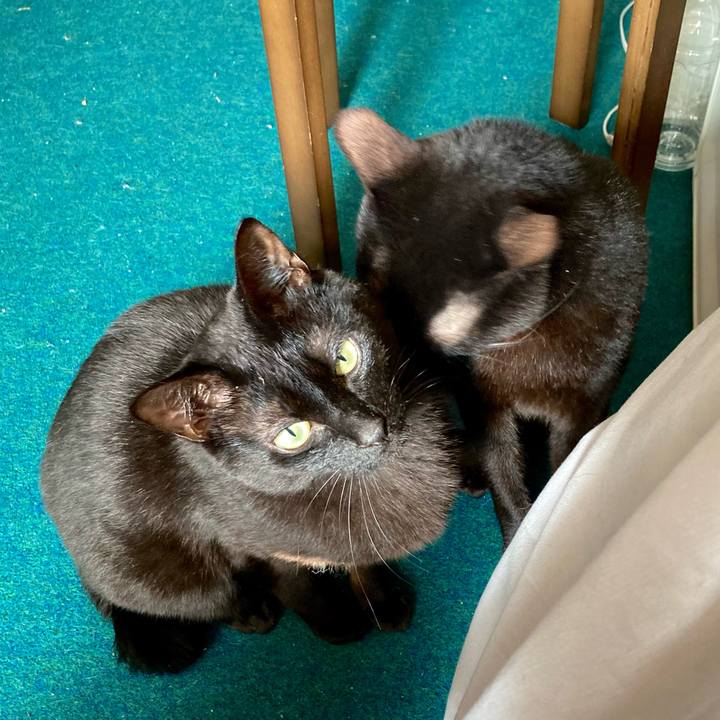 72998599 ab79 47a7 a32c 24effc32d1a3 1709429320268