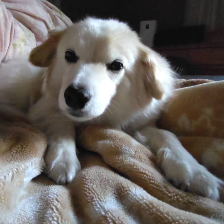 7299b0b6 d141 4fe8 99eb 59979389716e 1649628243024