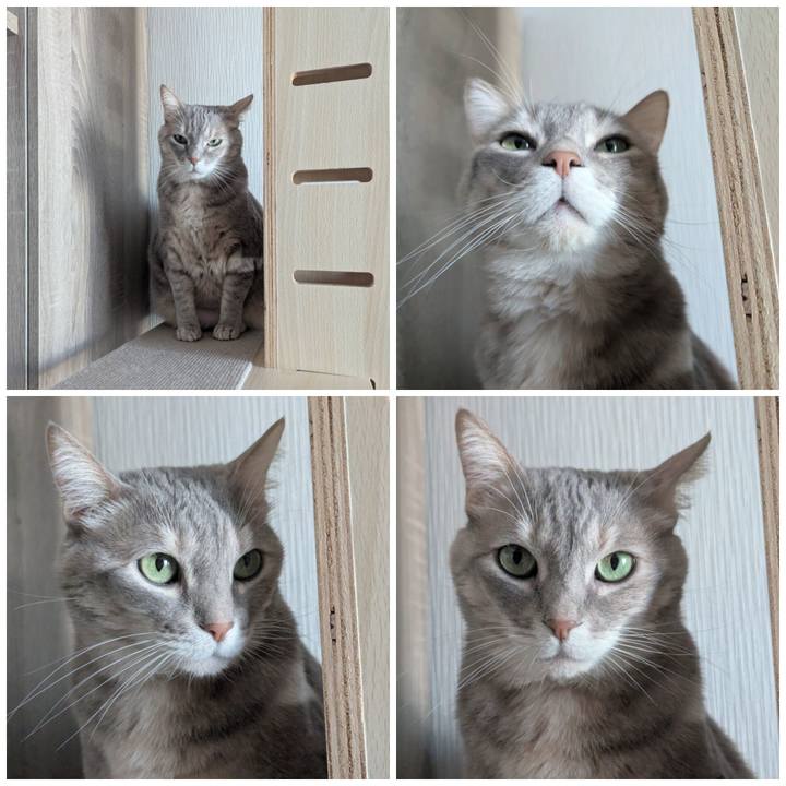 7299b635 5ea6 4893 bddc 2f3694918167 1772087116402